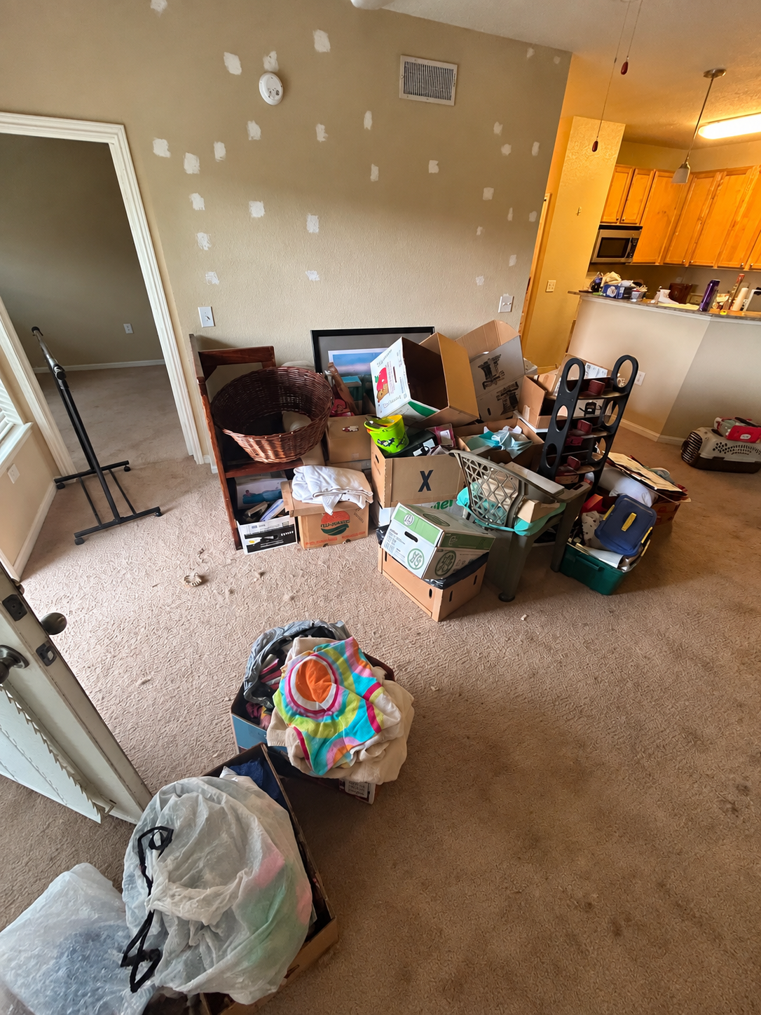 Same day junk removal